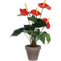 Kunstig Anthurium-plante - Vepabins