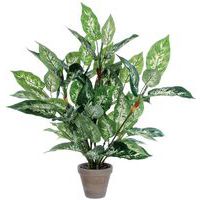 Kunstig plante Dieffenbachia - Vepabins