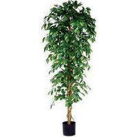 Kunstig Ficus Benjamina 210cm eksklusiv dekorativ potte - Vepabins