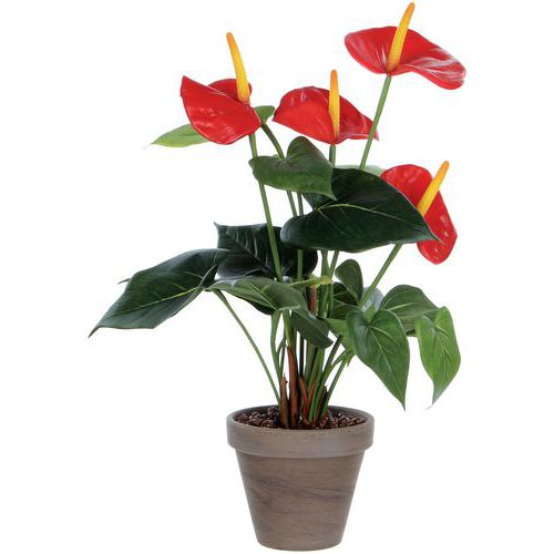 Kunstig Anthurium-plante - Vepabins