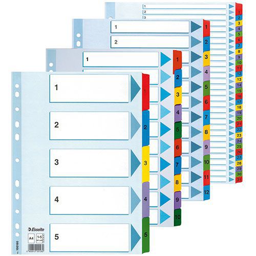 Register Esselte Mylar - Esselte